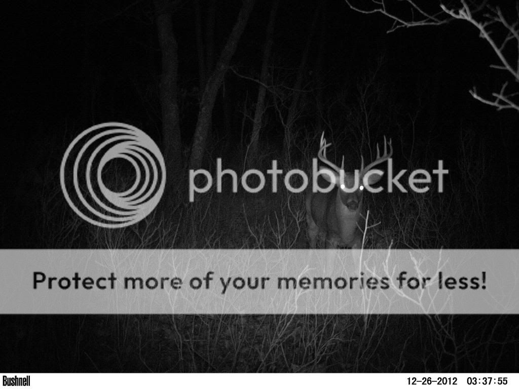 Posted Image