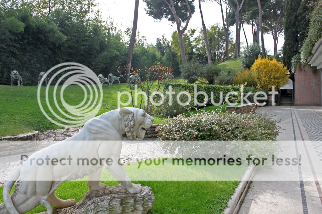 photo IMG_0580edited_zpsjhf5zy0o.jpg