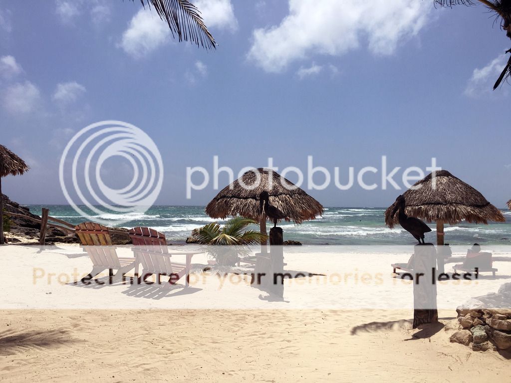 photo IMG_3838---_zpscmufwyvt.jpg