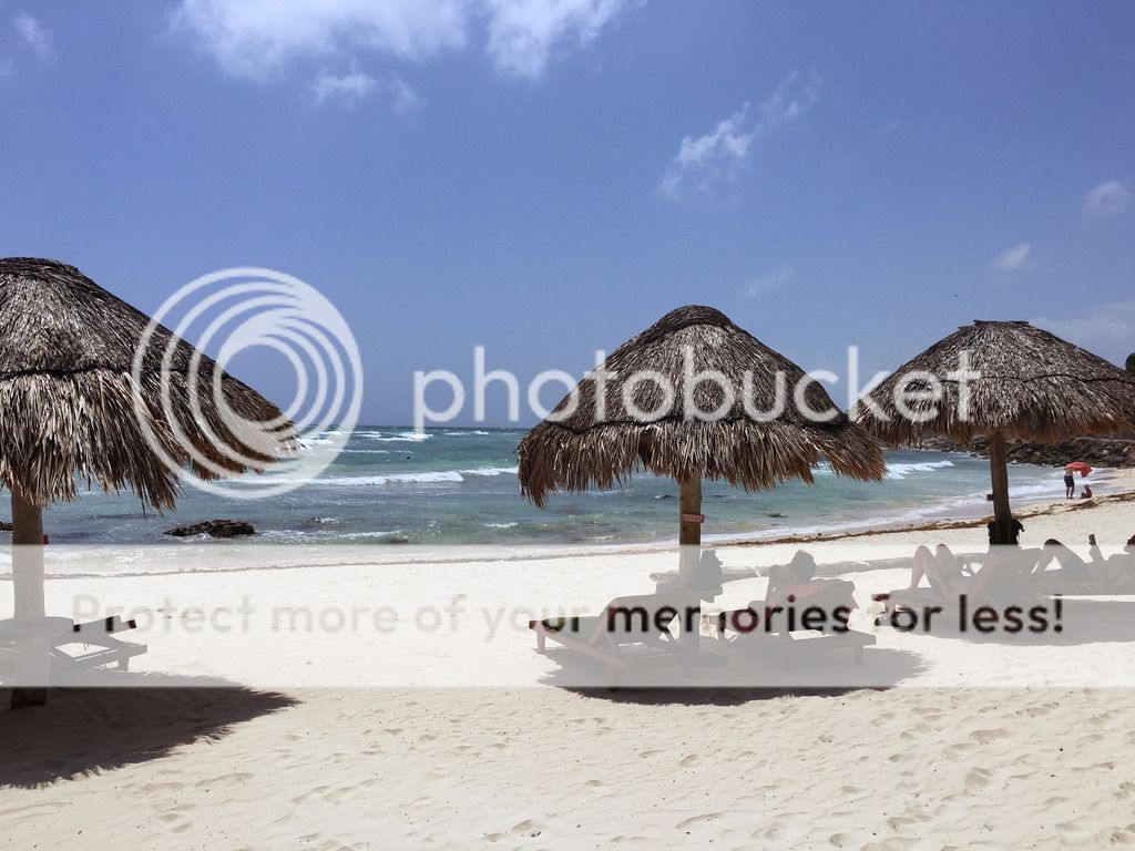 photo IMG_3840---_zpslsgblsrw.jpg