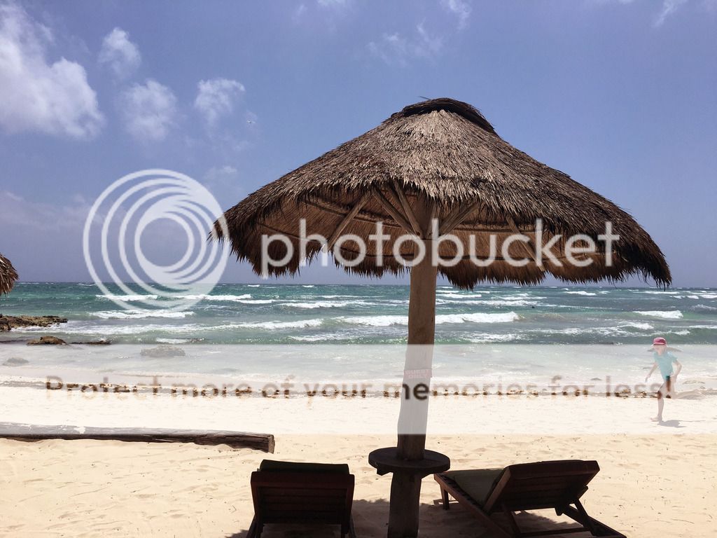 photo IMG_3844---_zpsb2vwatko.jpg