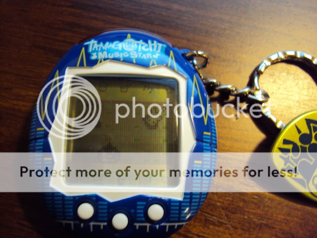 Posted Image