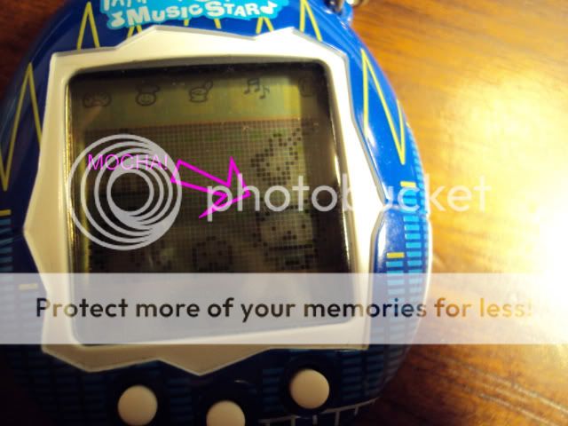 Posted Image