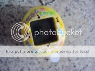Posted Image