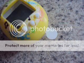 Posted Image