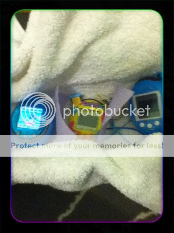 Posted Image