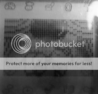Posted Image