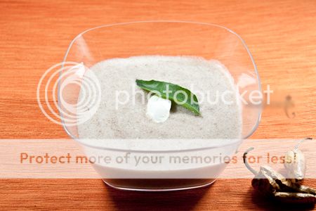 photo oothumaakool_zps6b4f8410.jpg